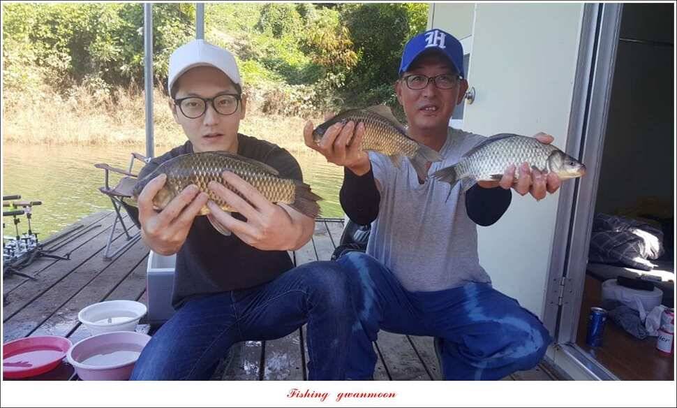 실리곡 39 cm신리 조황 및 충주권 대물 조황 (조황조행기 - 특파원조황)