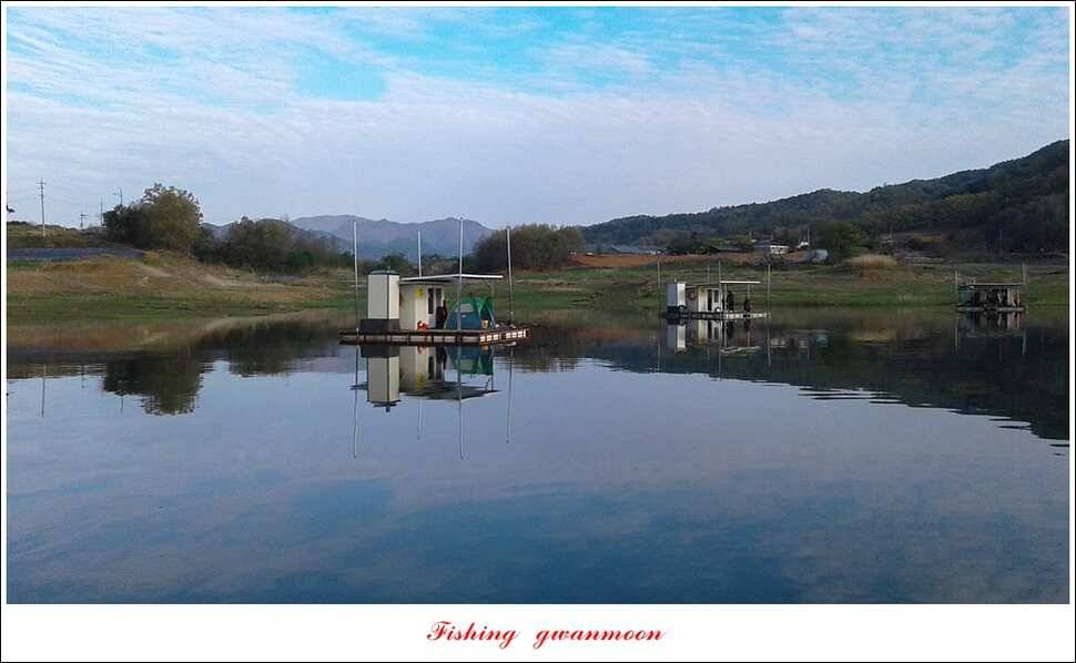실리곡 사짜화곡지 사짜한버들 38cm 조황 (조황조행기 - 특파원조황)