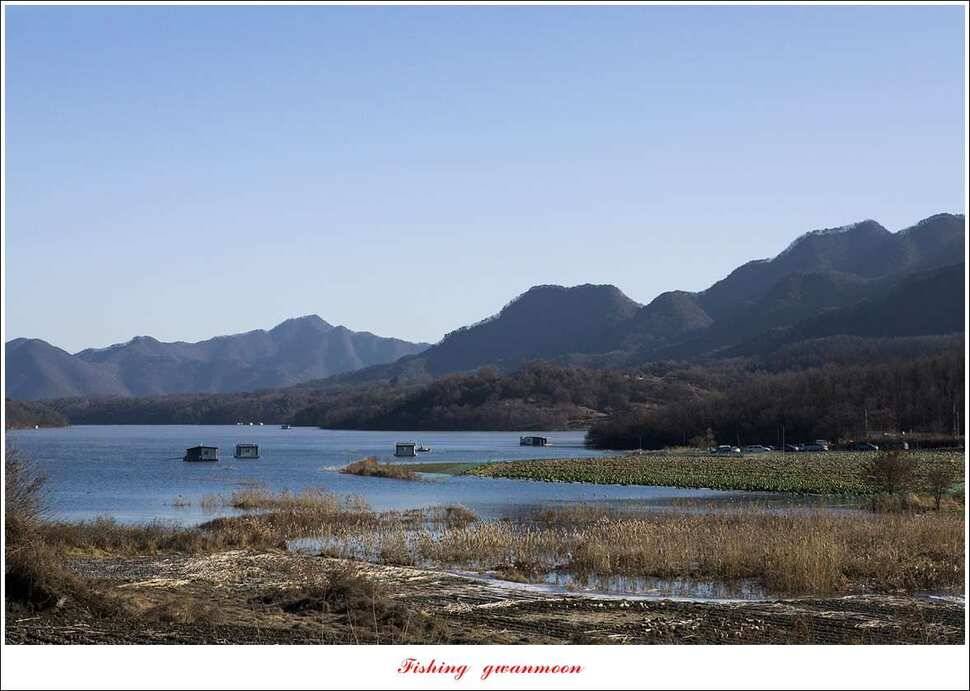 제일 낚시터 40 cm 대물 조황 (조황조행기 - 특파원조황)
