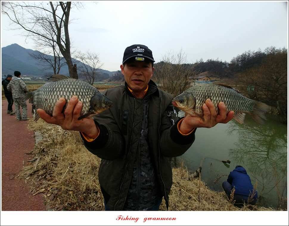 칠성지화곡지매전지추산지 현황 (조황조행기 - 특파원조황)