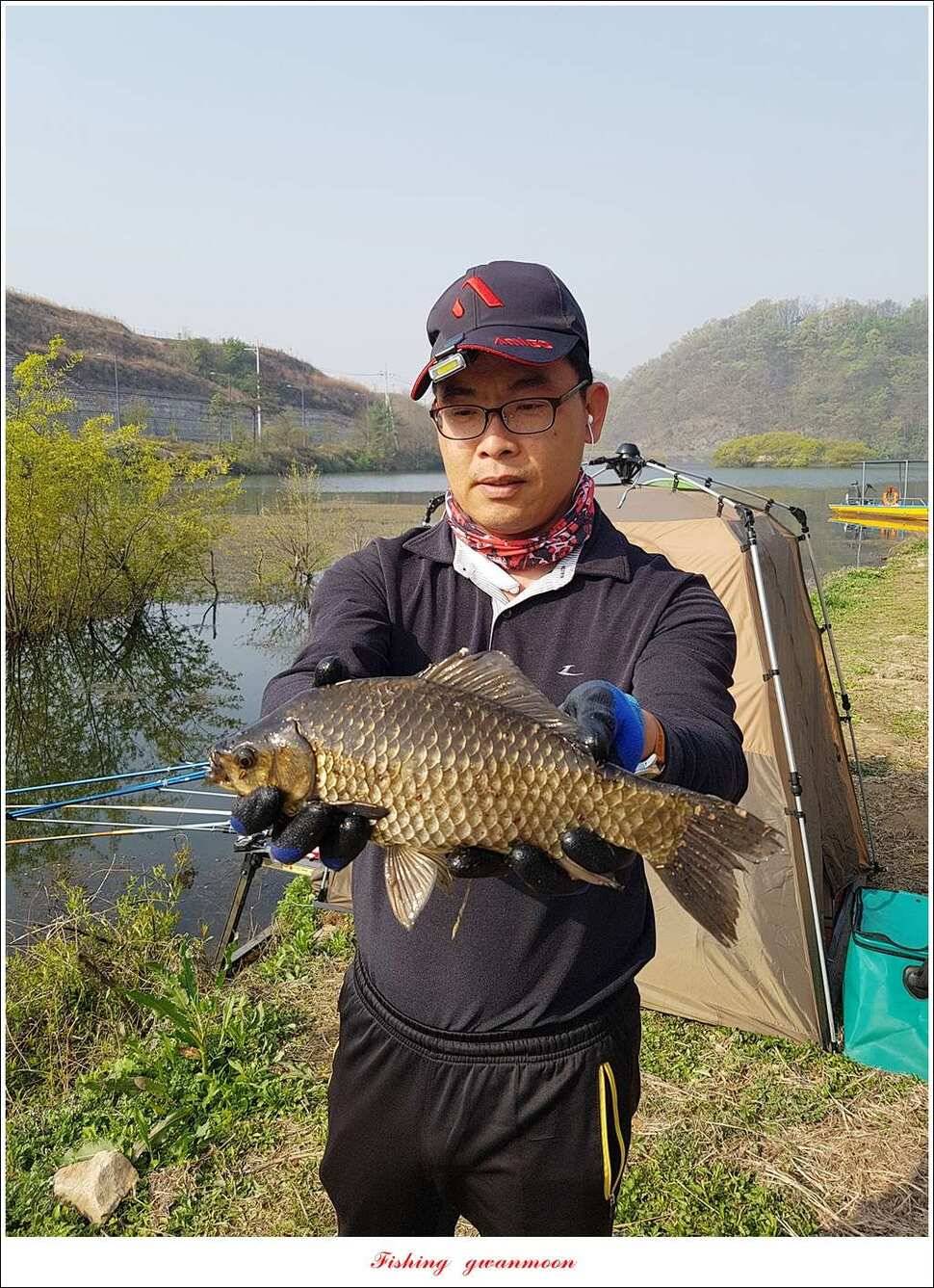 실리곡 사짜화곡지 사짜한버들 38cm 조황 (조황조행기 - 특파원조황)