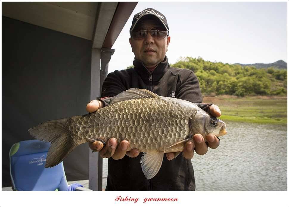 한버들 45 cm 외 사짜사짜 대박 (조황조행기 - 특파원조황)
