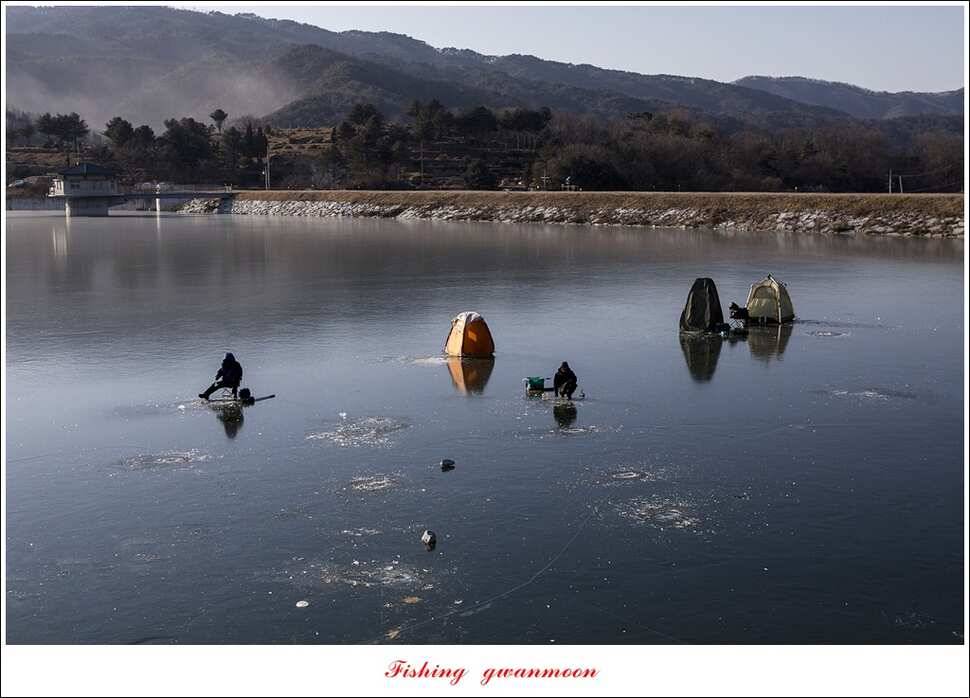 충주호 조황과 빙어 낚시 (조황조행기 - 특파원조황)