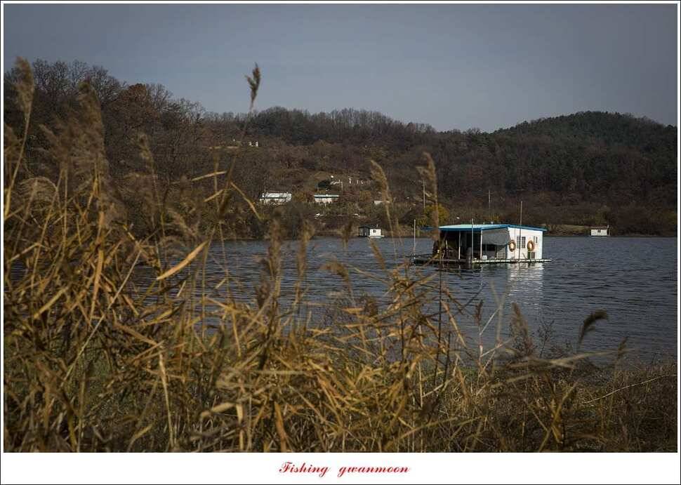 실리곡제일달천강 월척 조황 (조황조행기 - 특파원조황)