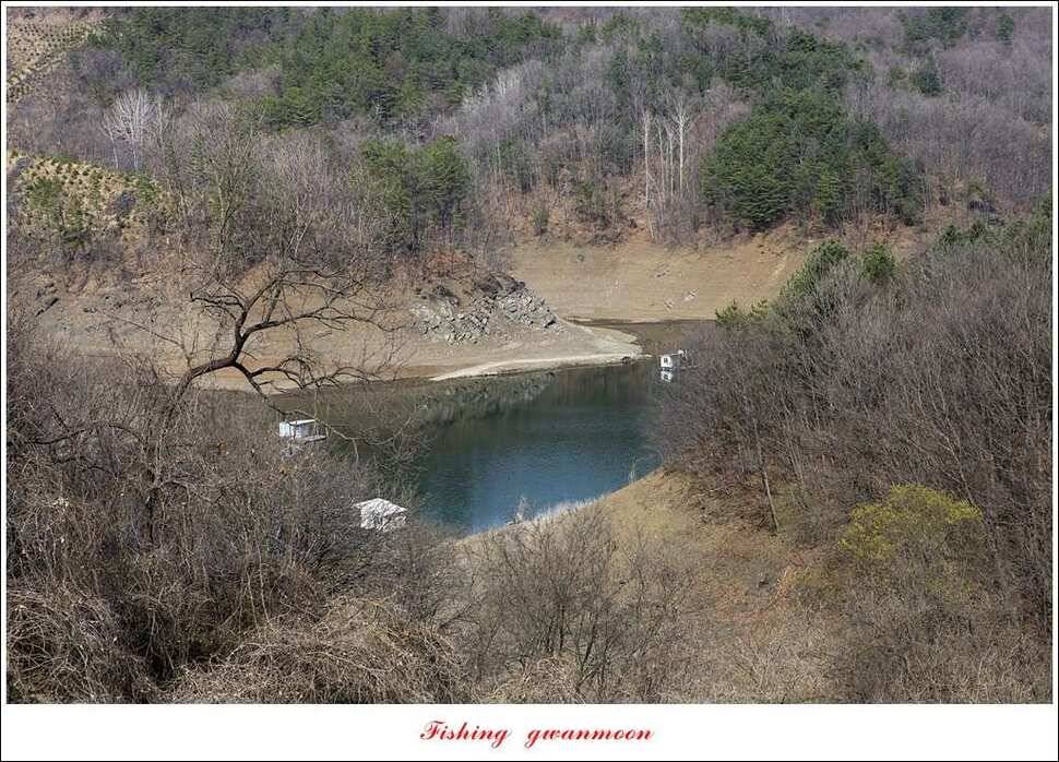 충주호 첫 붕어달천강 월척 (조황조행기 - 특파원조황)