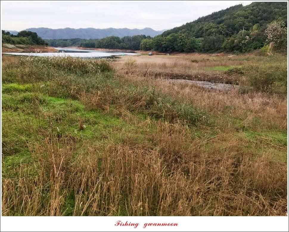 한버들 405 cm제일 39 cm실리곡 월척 및 마릿수 노지 조황 (조황조행기 - 특파원조황)