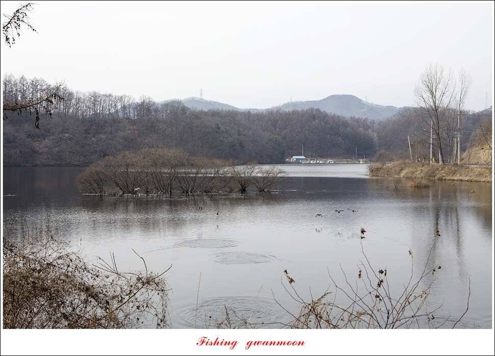 충주괴산권 물낚시 (조황조행기 - 특파원조황)