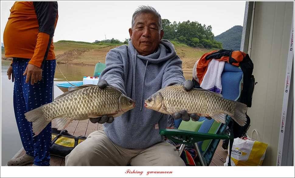 신매 42 cm 외 충주호 조황 (조황조행기 - 특파원조황)