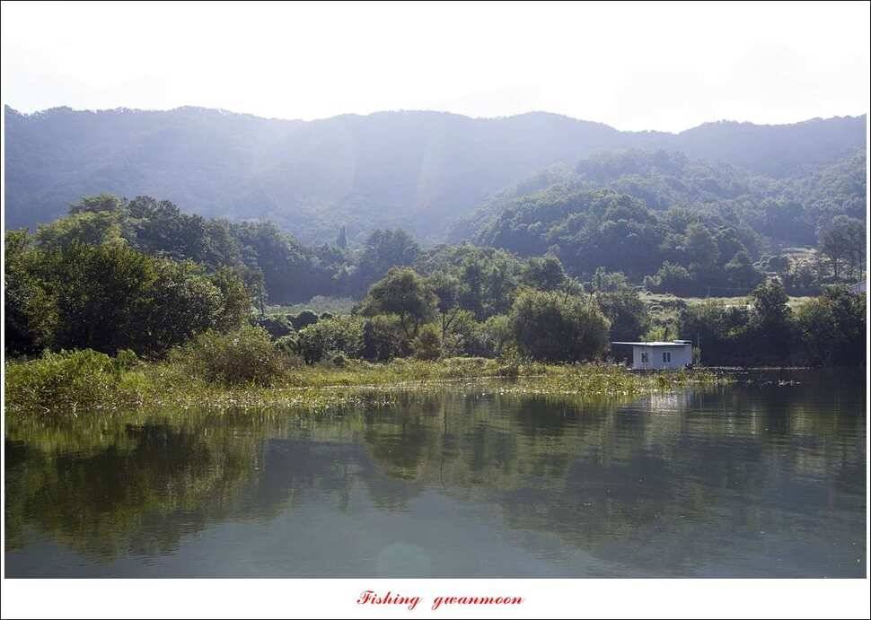 종점청풍 신리소이지 43 cm매전지 조황 (조황조행기 - 특파원조황)