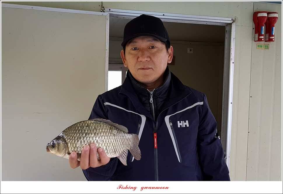 실리곡 허리급 월척 및 마릿수 조황 (조황조행기 - 특파원조황)
