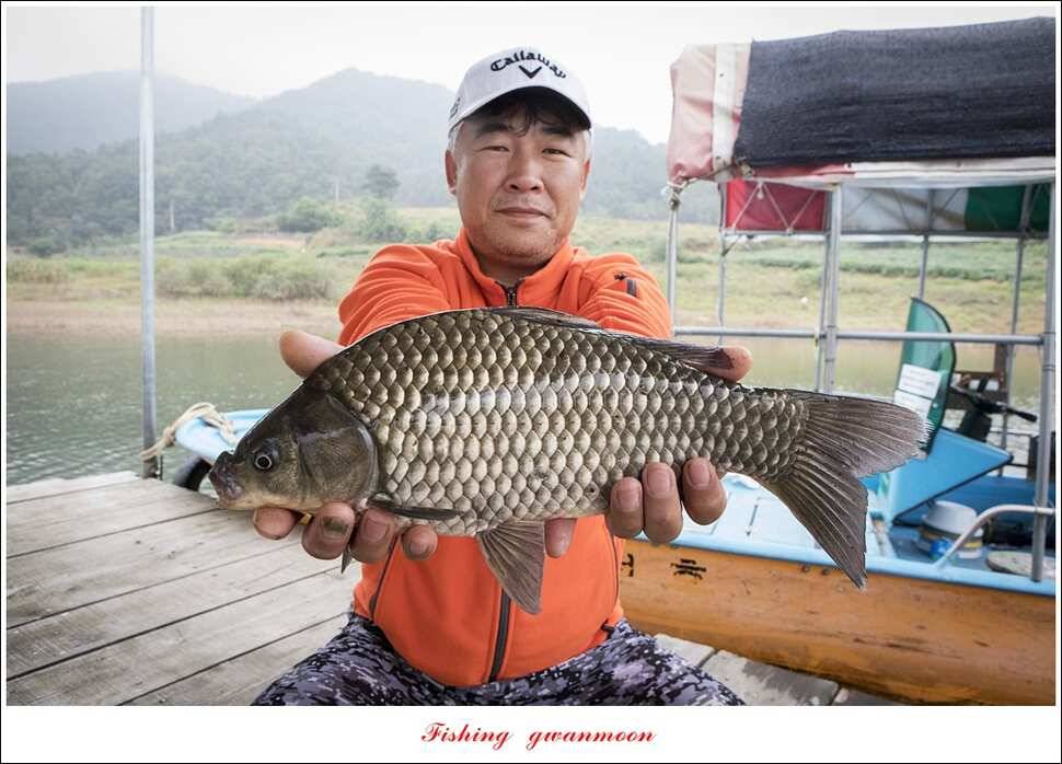한버들실리곡매전지 조황 (조황조행기 - 특파원조황)