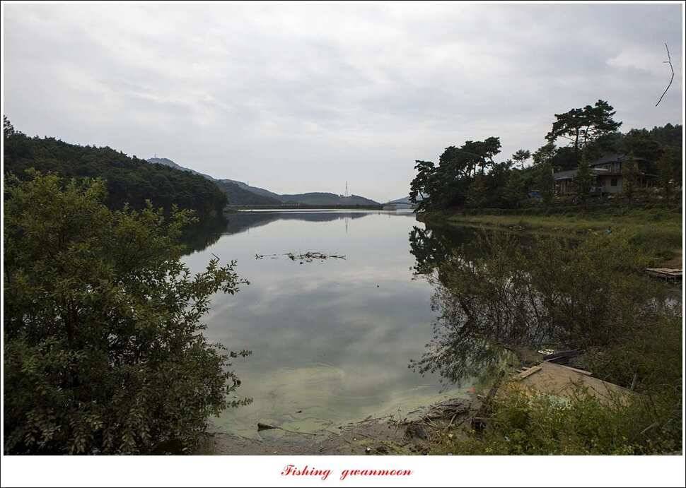청풍 신리 39 cm실리곡 월척 조황 (조황조행기 - 특파원조황)