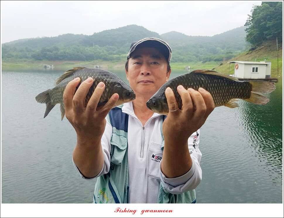 신매 435 cm 혹부리 대물돌감좌대 월척 조황 (조황조행기 - 특파원조황)