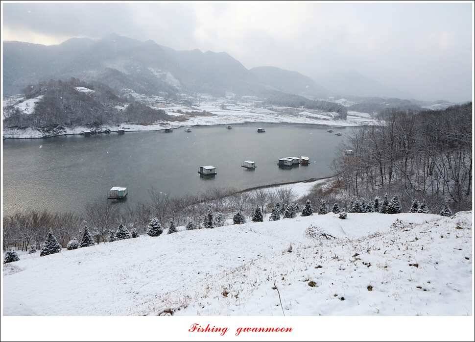 제일 47 cm 대물실리곡한버들 마릿수 월척 조황 (조황조행기 - 특파원조황)
