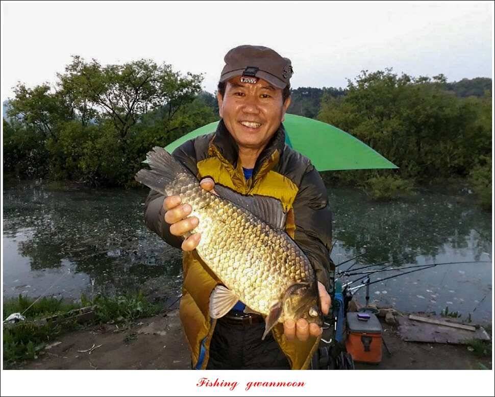 한버들 405cm40cm칠성지 43 cm실리곡 마릿수 월척 (조황조행기 - 특파원조황)