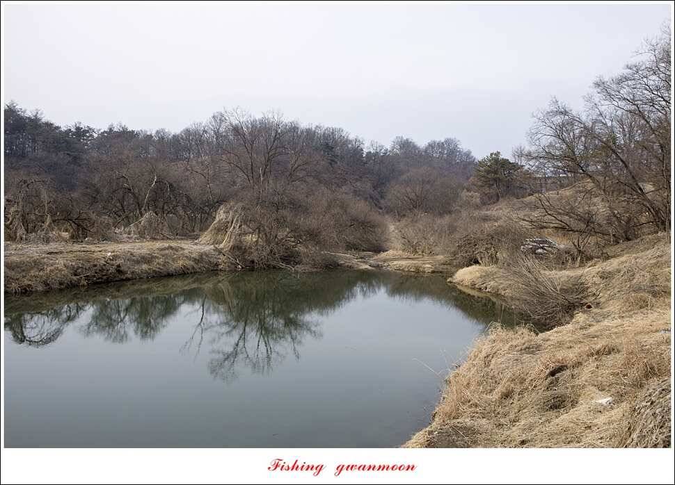 충주괴산권 물낚시 (조황조행기 - 특파원조황)