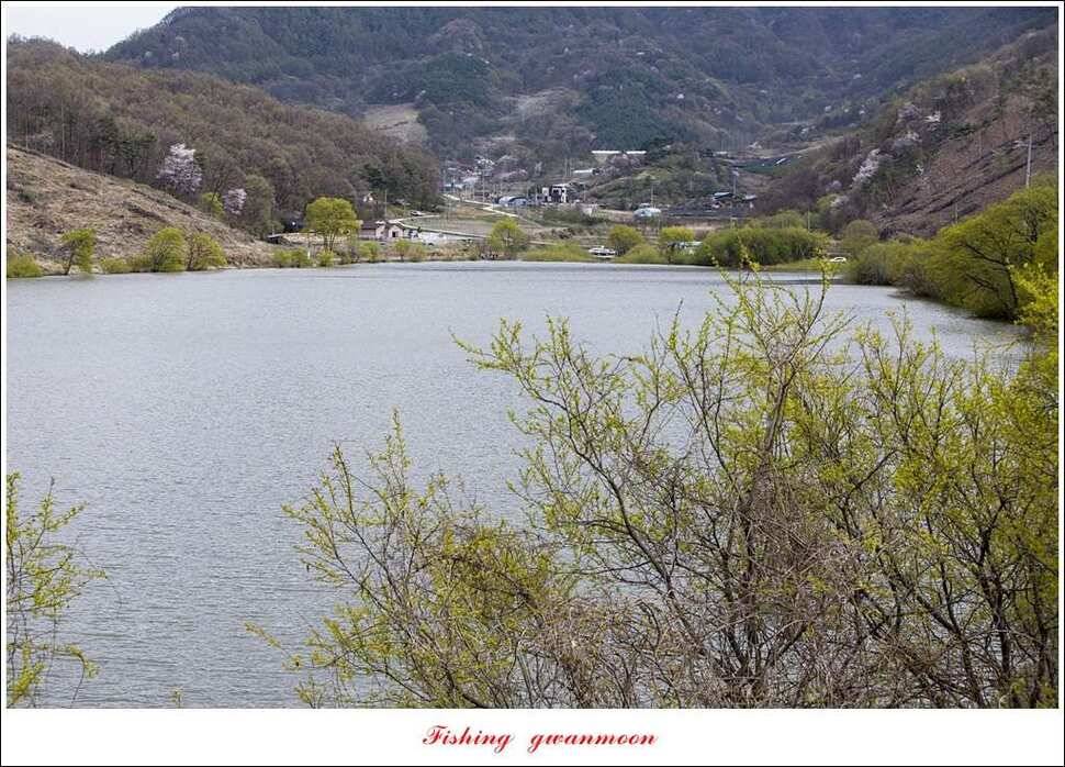 실리곡충주호 노지달천강괴산권 조황 (조황조행기 - 특파원조황)