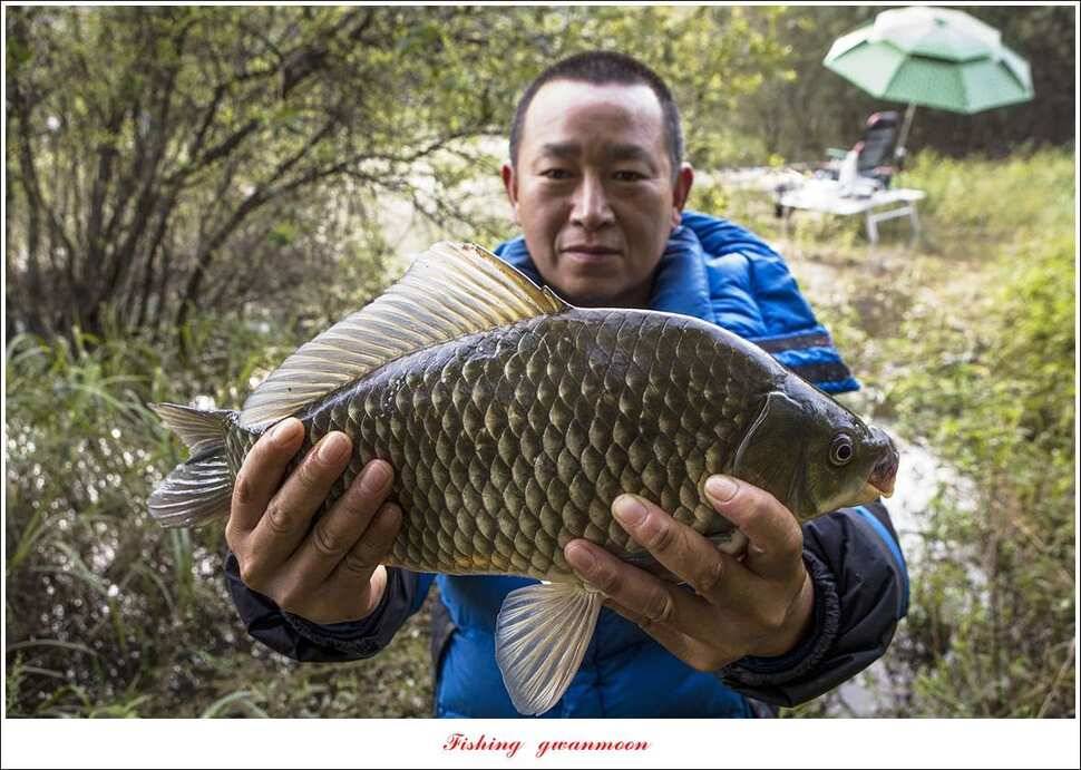 종점청풍 신리소이지 43 cm매전지 조황 (조황조행기 - 특파원조황)