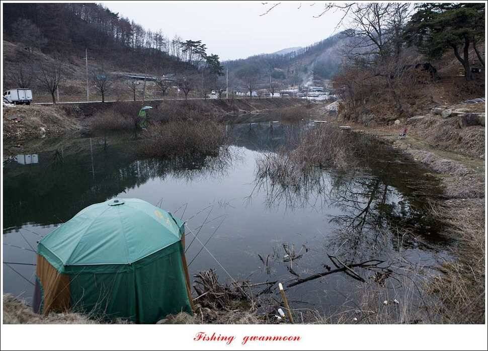 충주괴산권 조황 (조황조행기 - 특파원조황)