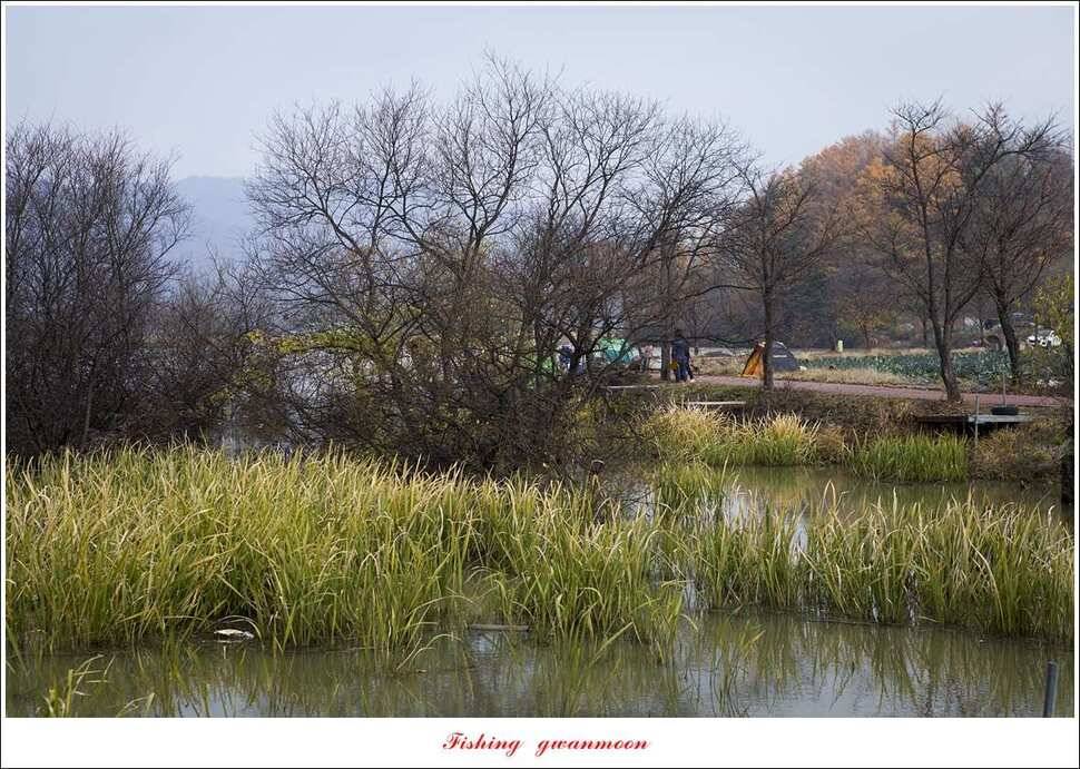칠성지 사짜 및 월척 조황 (조황조행기 - 특파원조황)