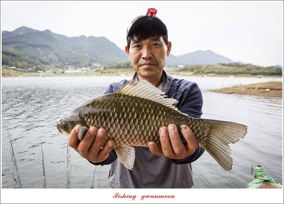 한버들 405 cm제일 39 cm실리곡 월척 및 마릿수 노지 조황 (조황조행기 - 특파원조황)