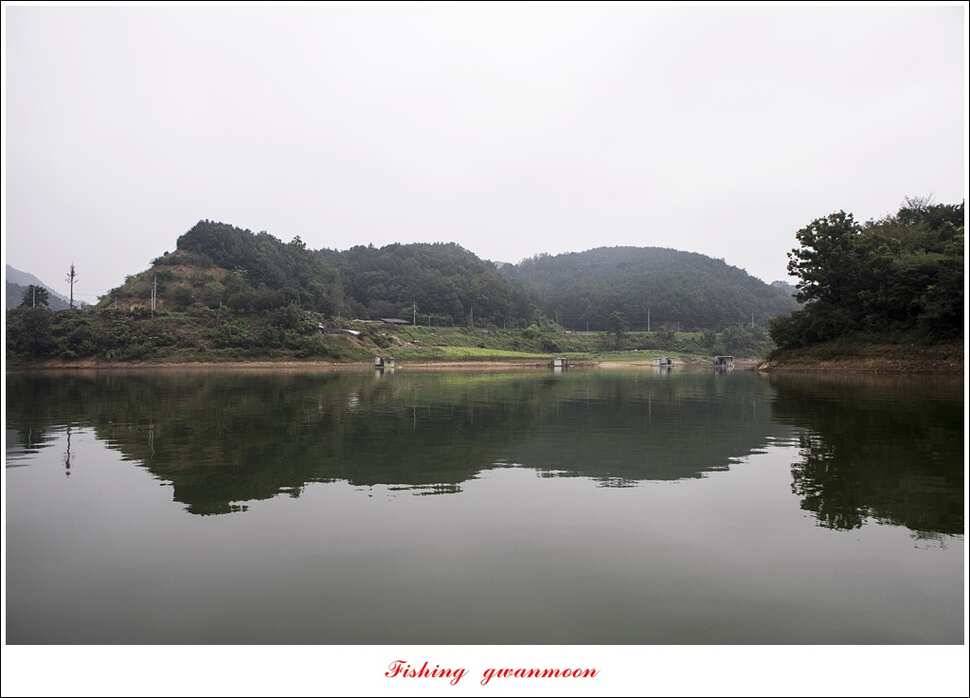 늘푸른실리곡한버들노지 조황 (조황조행기 - 특파원조황)