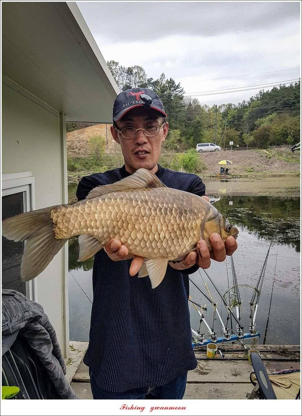 실리곡 사짜화곡지 사짜한버들 38cm 조황 (조황조행기 - 특파원조황)
