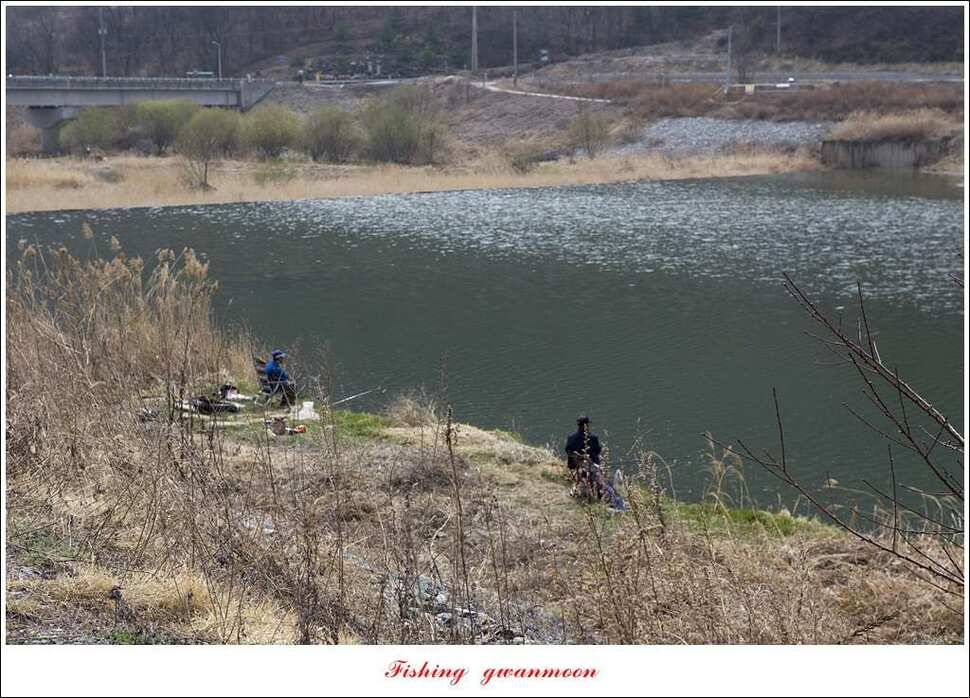 충주호 첫 붕어달천강 월척 (조황조행기 - 특파원조황)