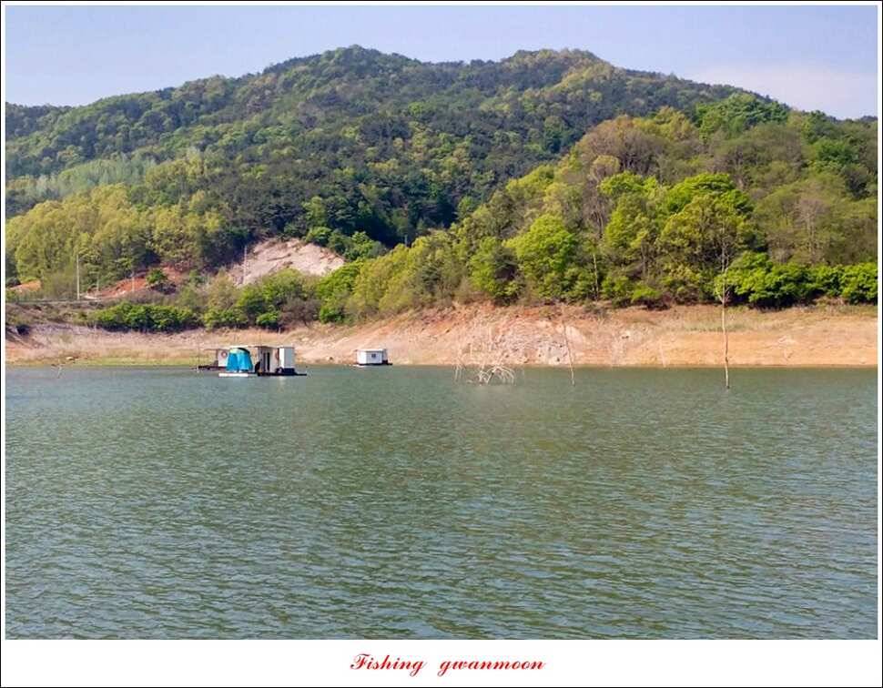 한버들 45 cm 외 사짜사짜 대박 (조황조행기 - 특파원조황)