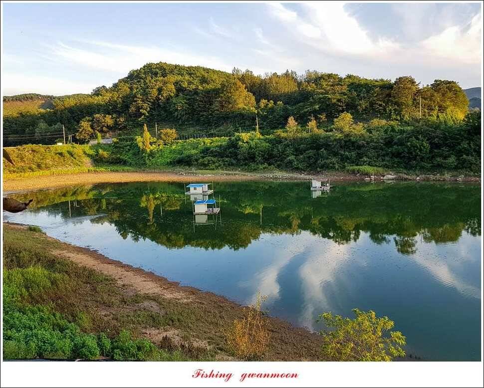 화곡지 사짜실리곡 월척 및 마릿수 조황 (조황조행기 - 특파원조황)