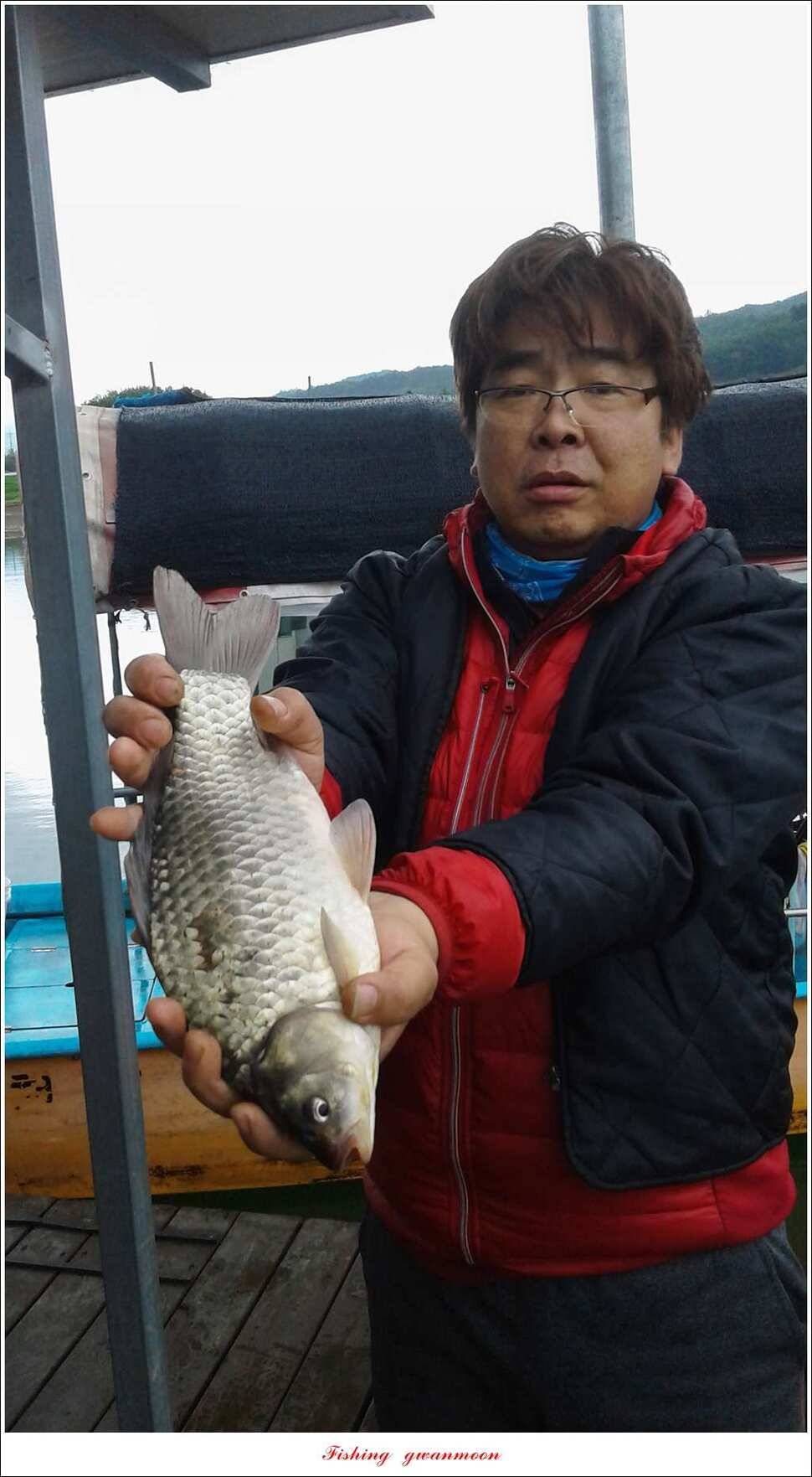 칠성지 435 cm화곡지 월척한버들 월척 (조황조행기 - 특파원조황)