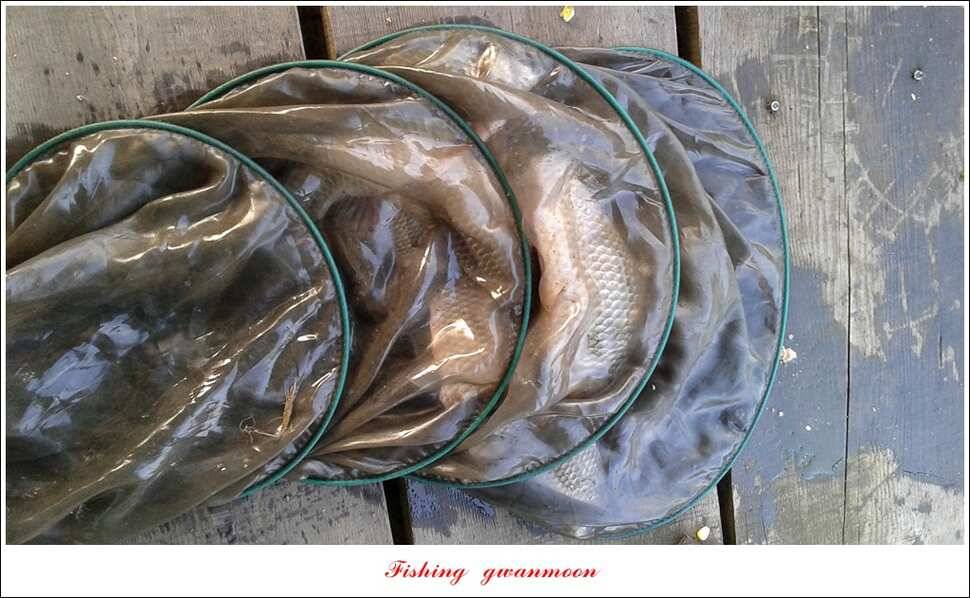 매전지화곡지돌감실리곡한버들 조황 (조황조행기 - 특파원조황)