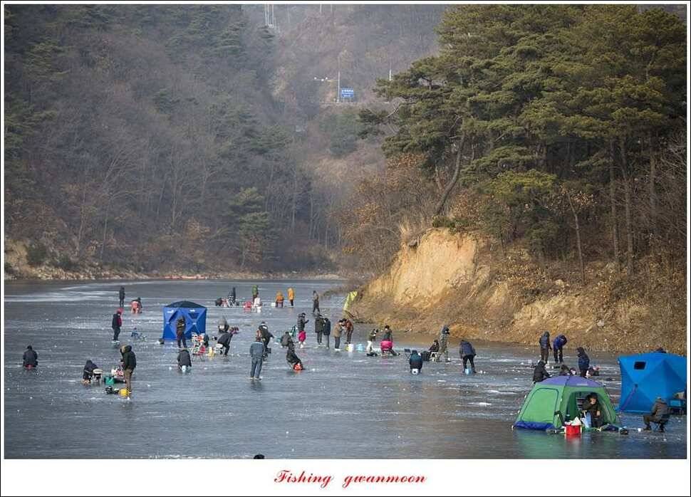충주권 빙어 낚시 (조황조행기 - 특파원조황)