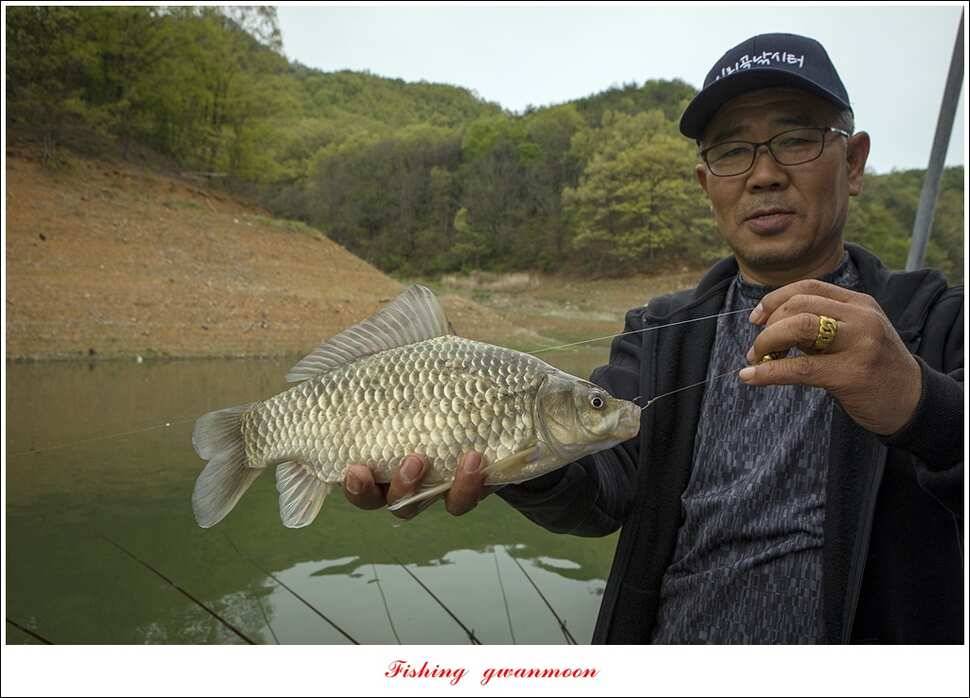 실리곡 사짜한버들 사짜 (조황조행기 - 특파원조황)