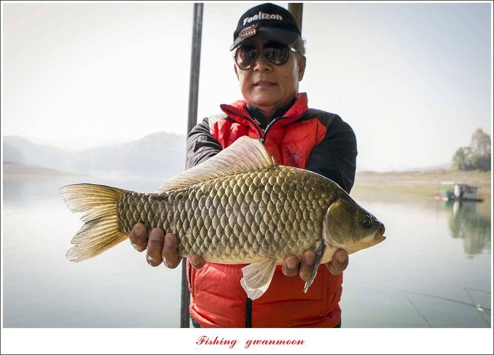한버들 435 cm 대물 조황 (조황조행기 - 특파원조황)