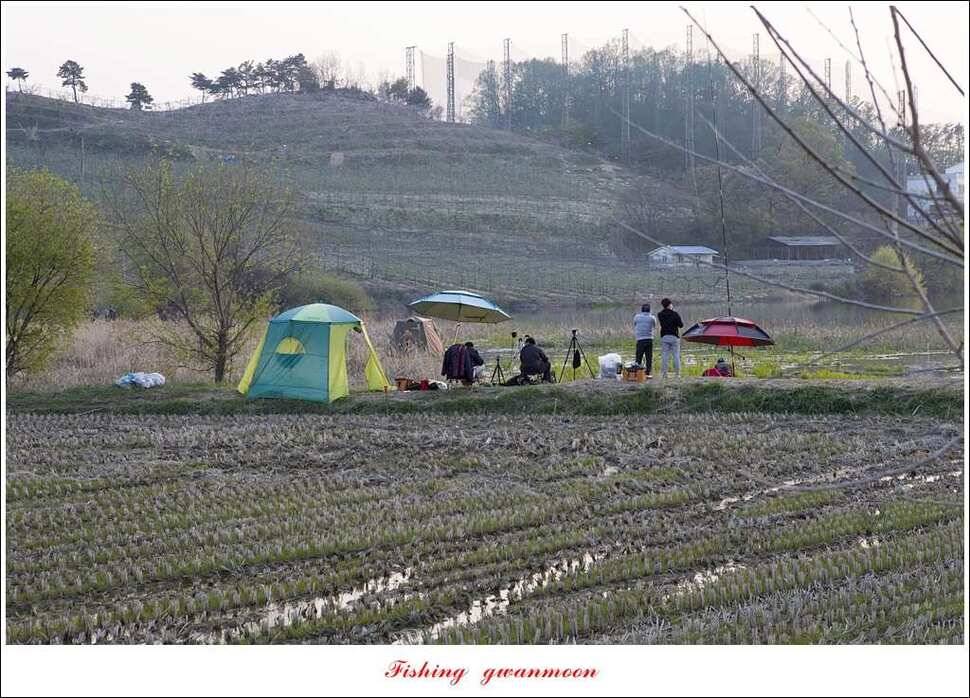 함지 마릿수 사짜실리곡 마릿수 월척 (조황조행기 - 특파원조황)