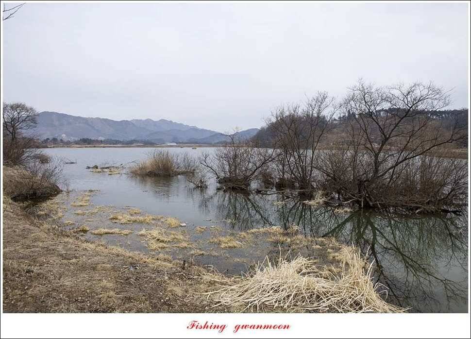 충주괴산권 물낚시 (조황조행기 - 특파원조황)