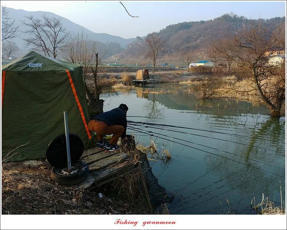화곡지 사짜 및 마릿수 월척 칠성지 조황 (조황조행기 - 특파원조황)