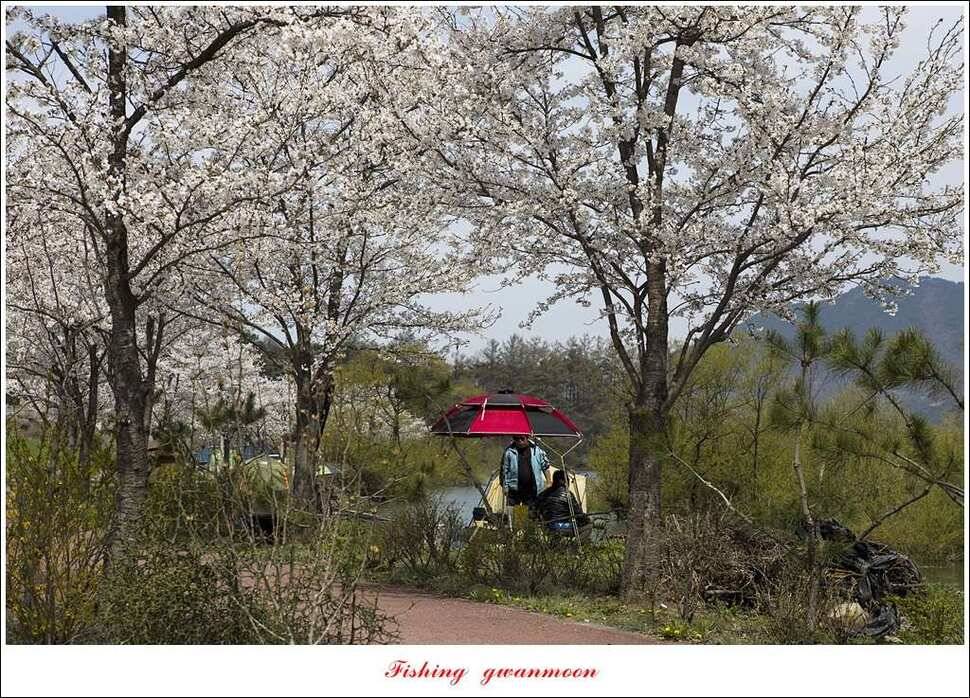 실리곡달천강매전지칠성지 (조황조행기 - 특파원조황)