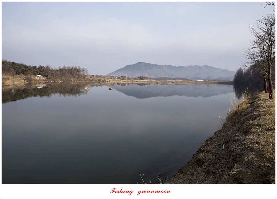 충주괴산권 물낚시 (조황조행기 - 특파원조황)