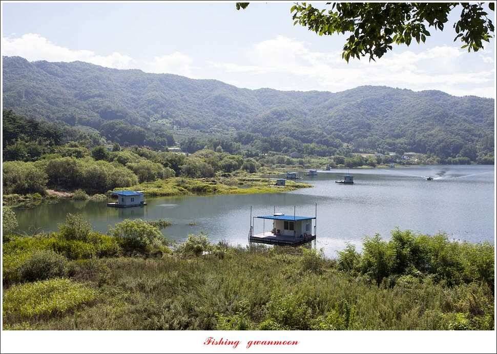 종점청풍 신리소이지 43 cm매전지 조황 (조황조행기 - 특파원조황)