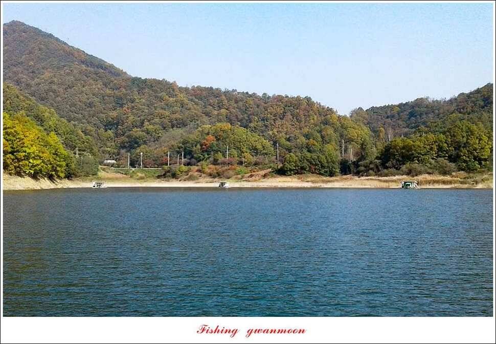 한버들 허리급실리곡 월척 및 마릿수 조황 (조황조행기 - 특파원조황)