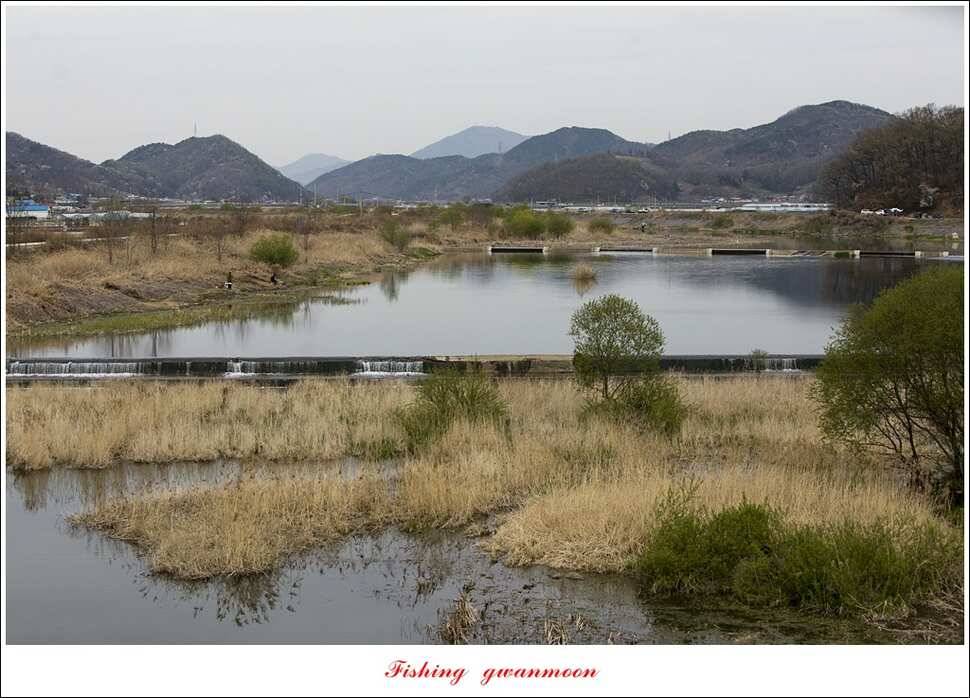 실리곡충주호 노지달천강괴산권 조황 (조황조행기 - 특파원조황)