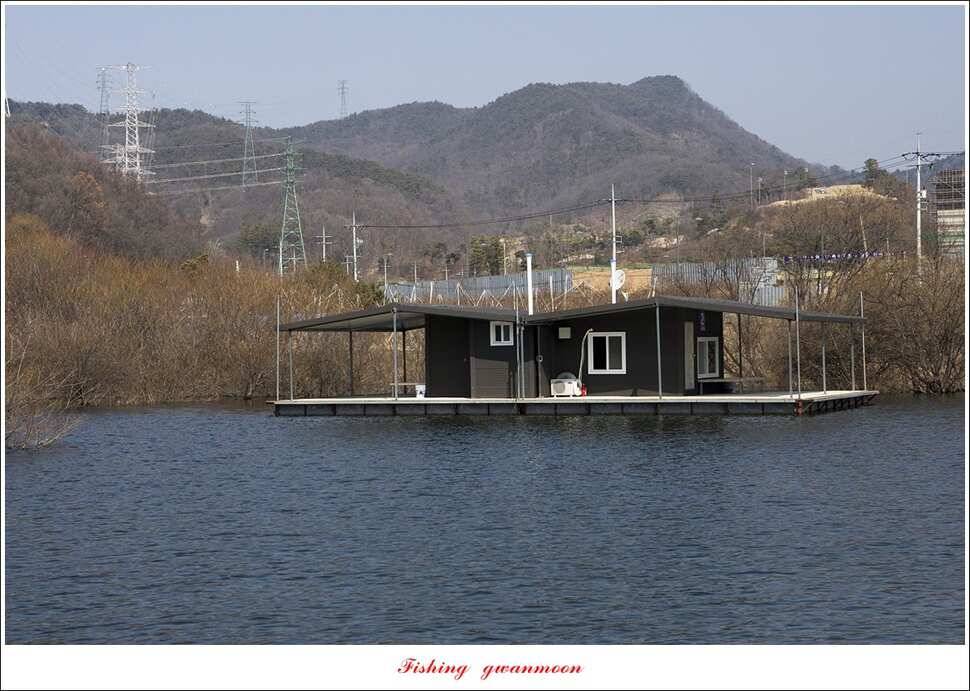 화곡지 마릿수 월척 조황 (조황조행기 - 특파원조황)