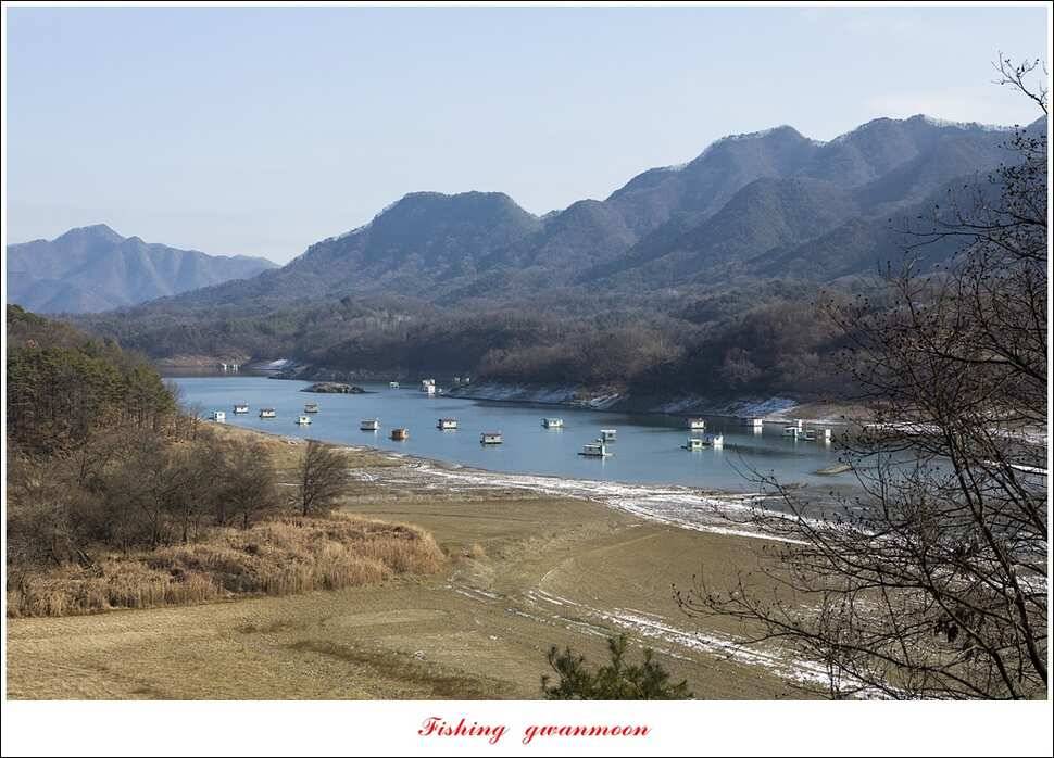 제일 낚시터 월척 조황 (조황조행기 - 특파원조황)