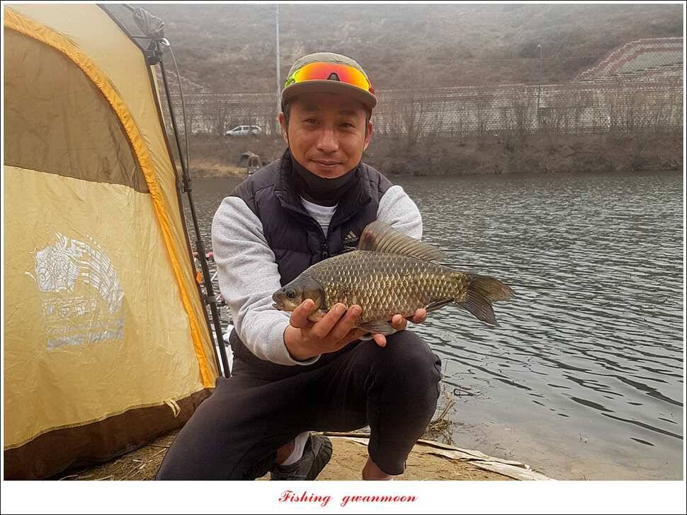화곡지 사짜 및 마릿수 월척 조황 (조황조행기 - 특파원조황)