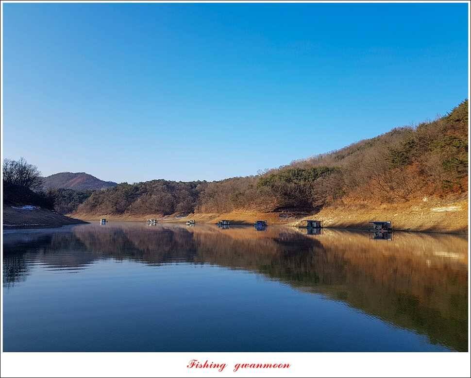 실리곡 마릿수 월척 조황 (조황조행기 - 특파원조황)