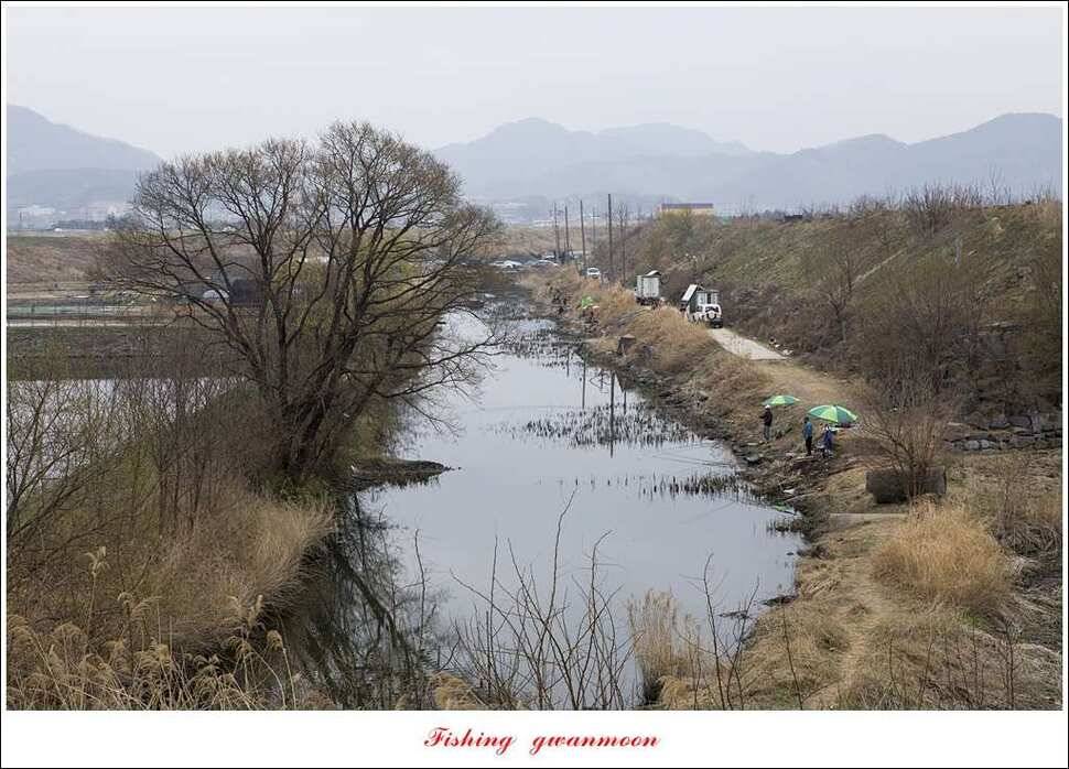 실리곡화곡지달천강 마릿수 월척외 조황 (조황조행기 - 특파원조황)