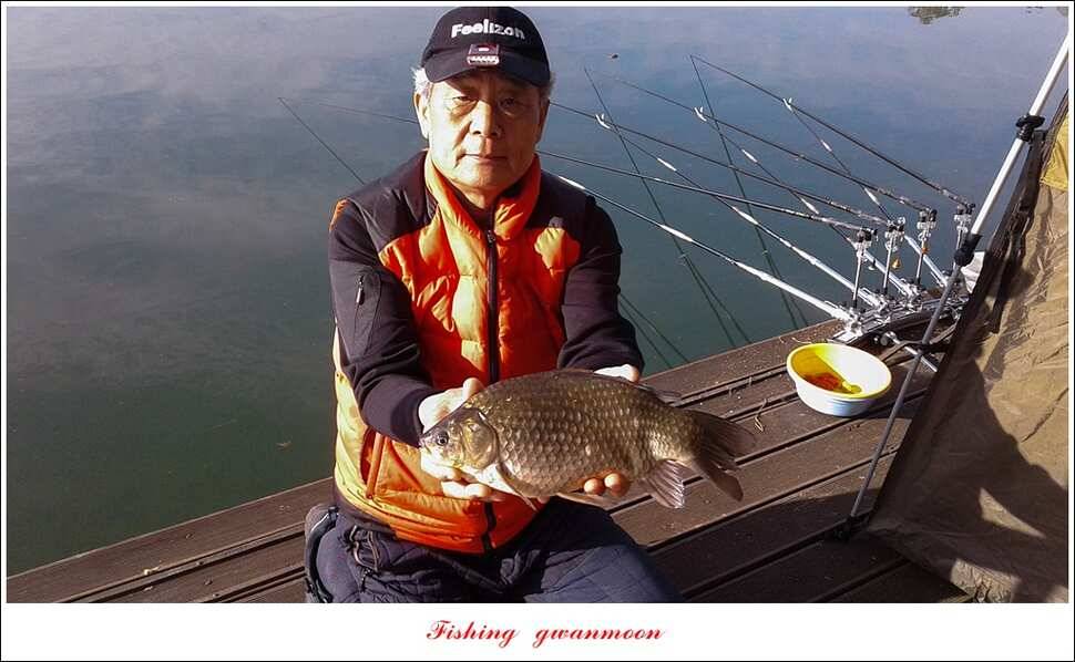 실리곡 사짜화곡지 사짜한버들 38cm 조황 (조황조행기 - 특파원조황)