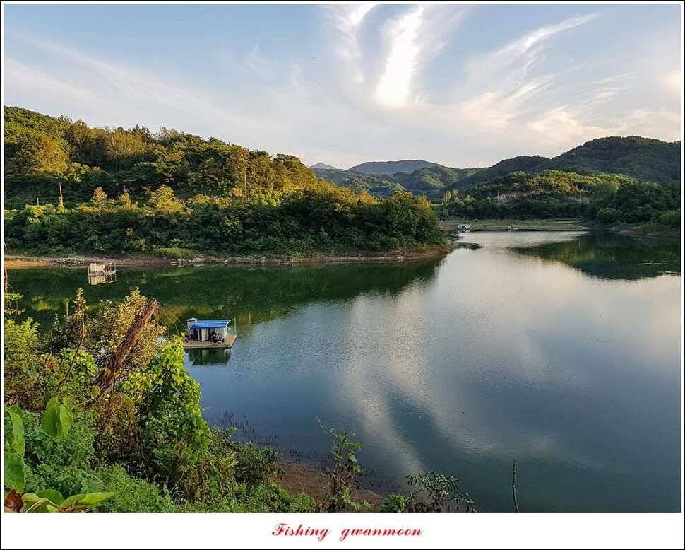 화곡지 사짜실리곡 월척 및 마릿수 조황 (조황조행기 - 특파원조황)